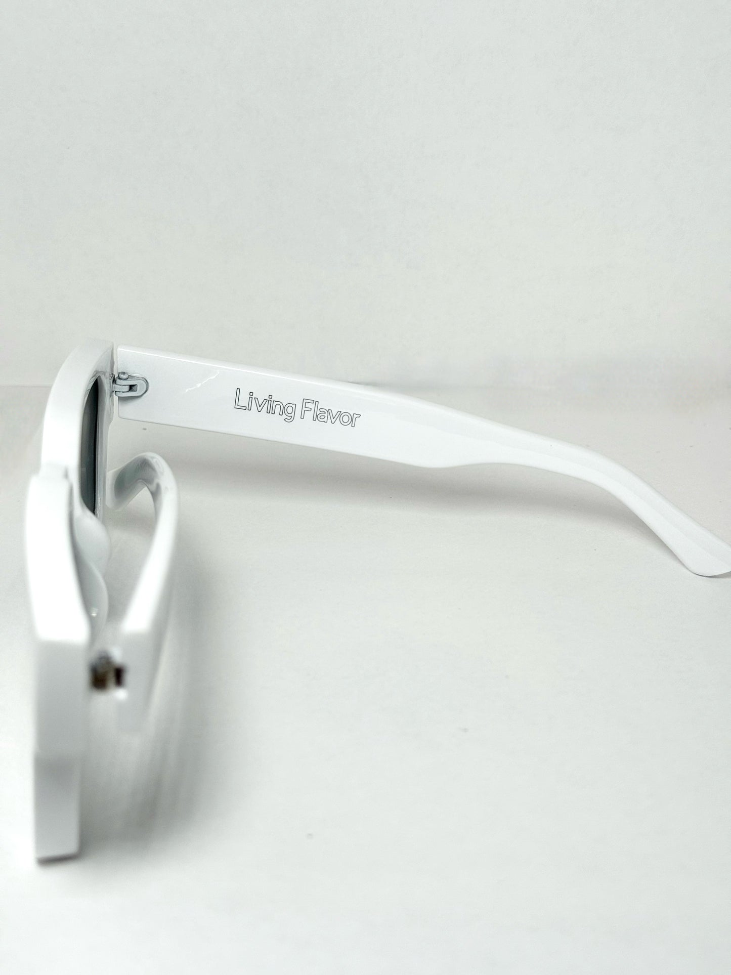 LIVING FLAVOR Sunglasses